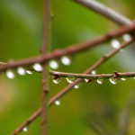 夏休みも残りわずか。雨上がりの神戸は秋の気配が…