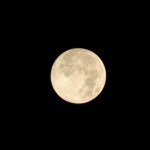 中秋の名月。シチューが食べたくなるお月さま撮れました。