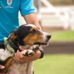 犬と飼主の感動の再会シーン。よかったよかったねと何度も言ってしまう動画です。