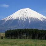 これも残り福？欲しかった富士山のカレンダー、ラスト１個～ペットシッターワンコノ開運グッズ、増えてます。