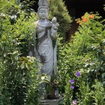 これぞアジサイ寺、加古川市の花の寺こと円照寺に行ってきました～神戸市西区ペットシッターワンコノのちょっと寄り道